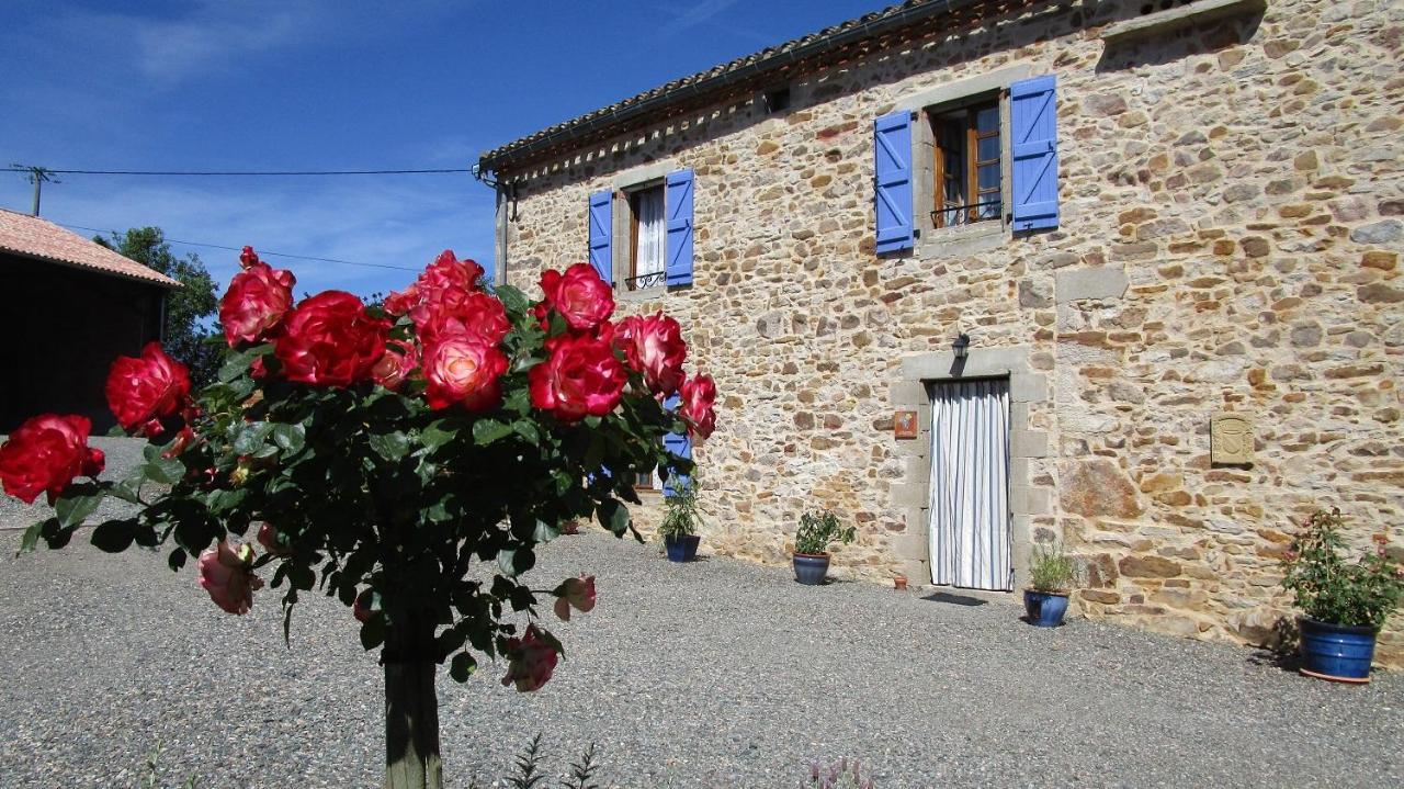 Gites & Chambres D'Hotes Peyrecout Laparrouquial Экстерьер фото